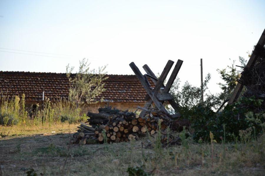 Perugia Farmhouse Bagian luar foto